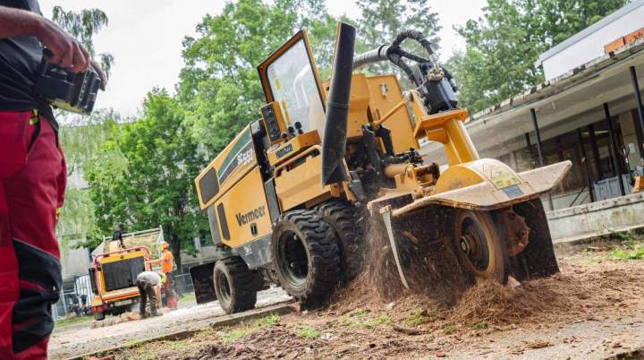 Travaux de rognage Dammarie-les-Ly
