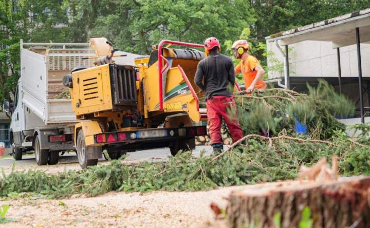 Gestion et traitement déchets verts Dammarie-les-Lys