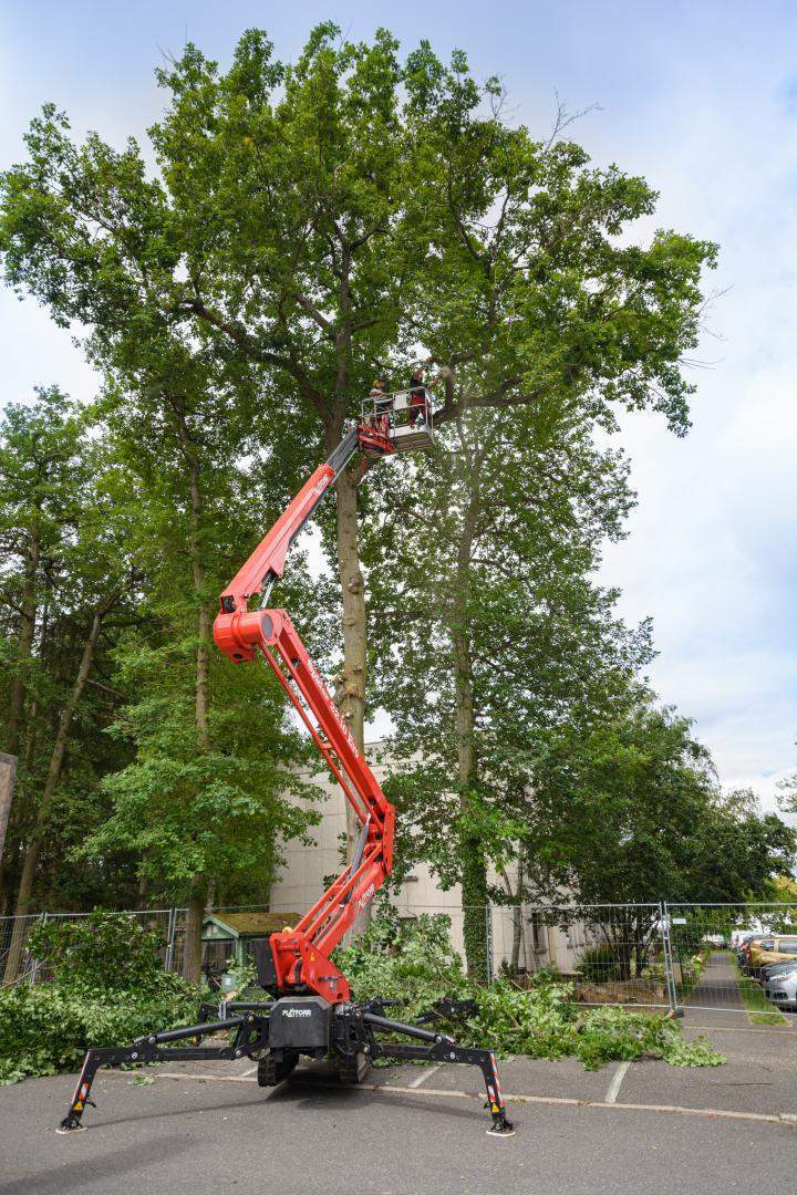 Élagage avec engins spécialisés Dammarie-les-Lys