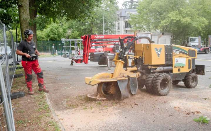 Engins travaux arboricoles Dammarie‑les‑Lys