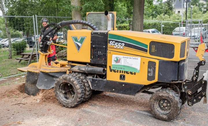 Utilisation engins arboricoles Dammarie-les-Lys